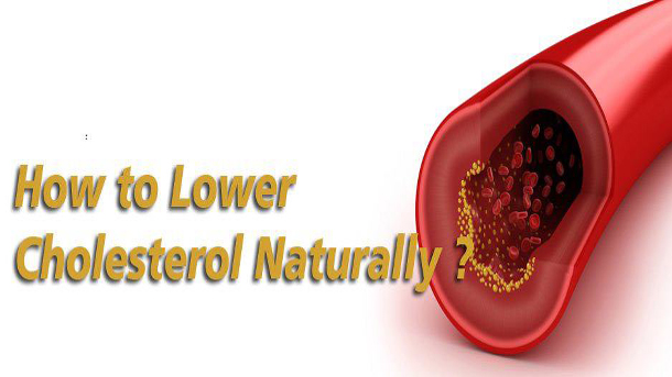10 Foods Lowering Cholesterol