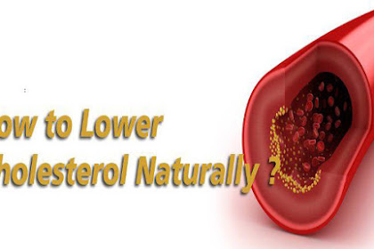 10 Foods Lowering Cholesterol