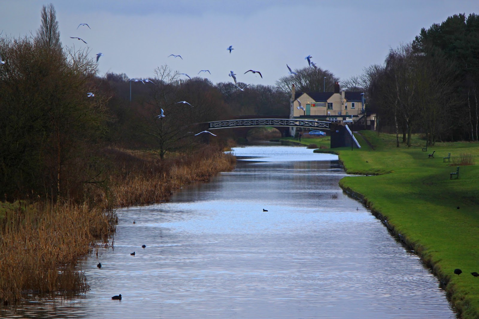 Captain Ahab's Watery Tales Pottering in Pelsall