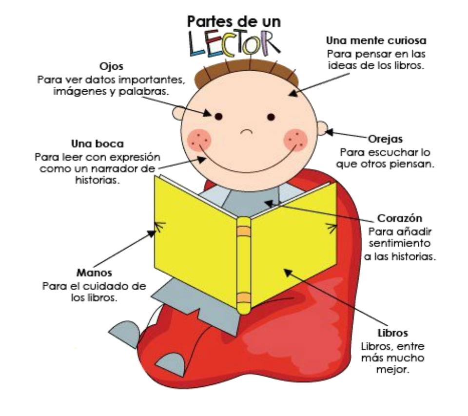 Partes de un lector