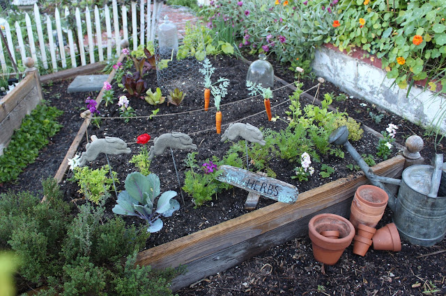 Rooted In Thyme: ~Peter Rabbit's Garden~