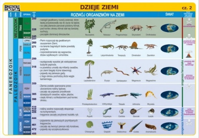Ery I Okresy W Dziejach Ziemi 1 GIMNAZJUM 22 PAŹDZIERNIKA Budowa Geologiczna Polski. Do poczytania i
