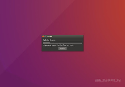 Updating Steam Linux Ubuntu