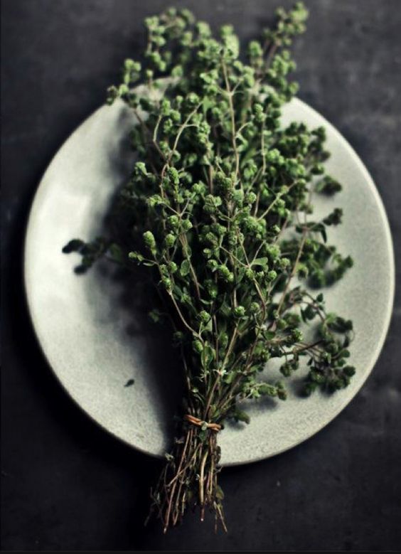 Greeker Than The Greeks 12 Important Aromatic Herbs of Ancient Greece