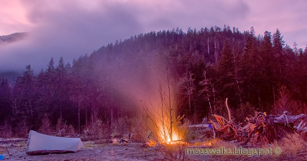 Walks with Moss North Fork Quinault Trail Backpack