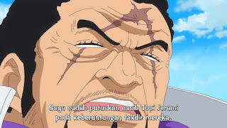 One Piece 741 sub indo