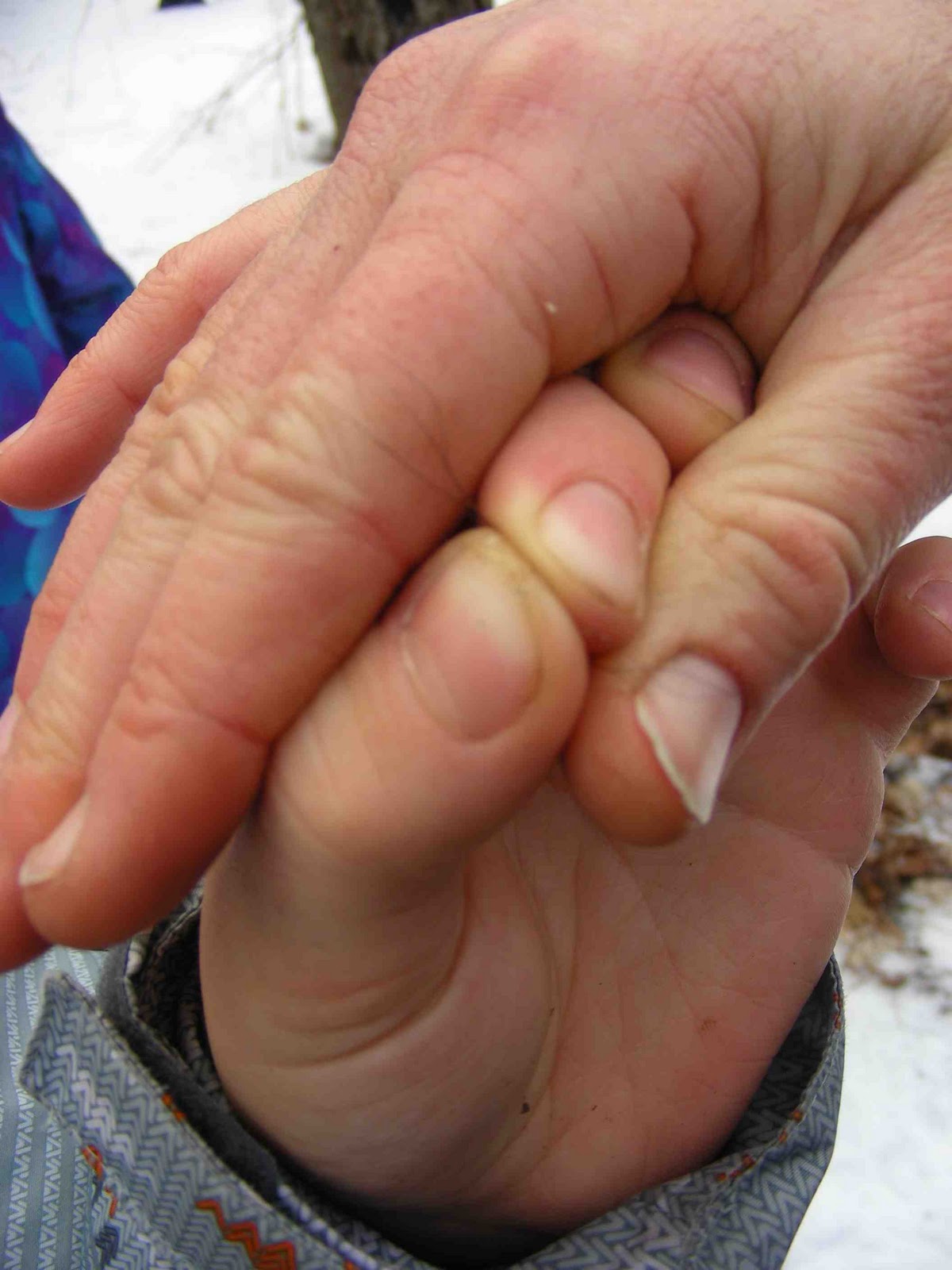 Branchés sur la faune Connected to wildlife StÉdouard, Lac Brome