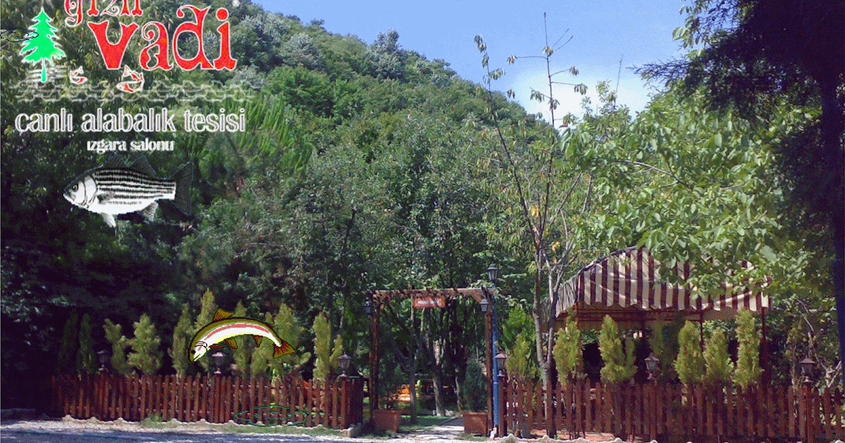 BURSA BALIK LOKANTALARI,,BURSA ALABALIK TESISLERİ GİZLİ VADİ ALABALIK