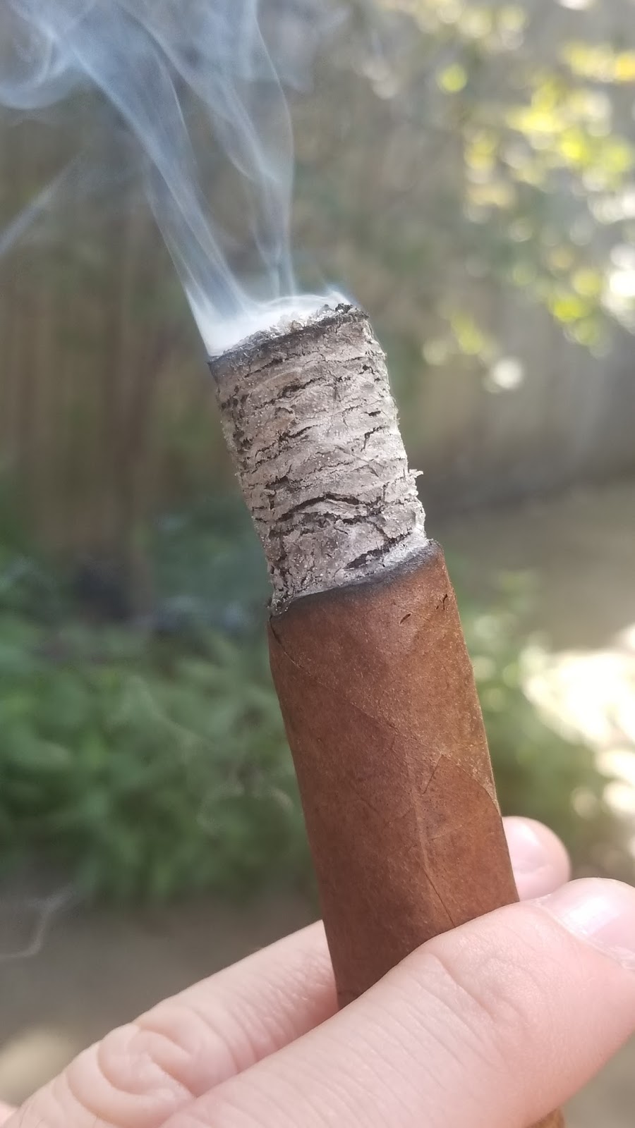 El Ligador Cigar Repair Glue - Cigars International
