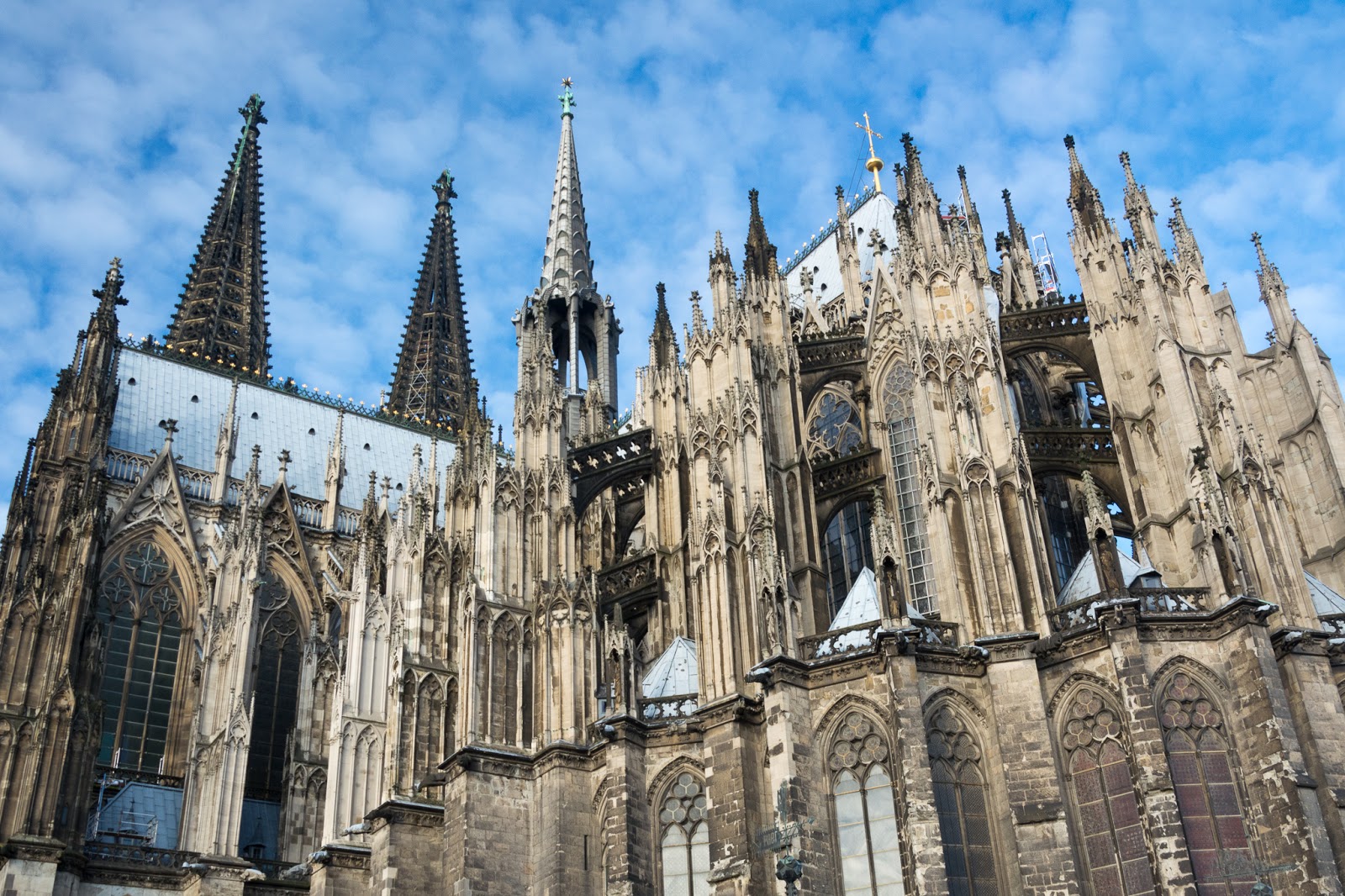 A Tree Falling Cologne Cathedral