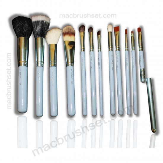 MAC, Bobbi Brown Brush Sets and tools 12 pcs MAC Brushes with Tube