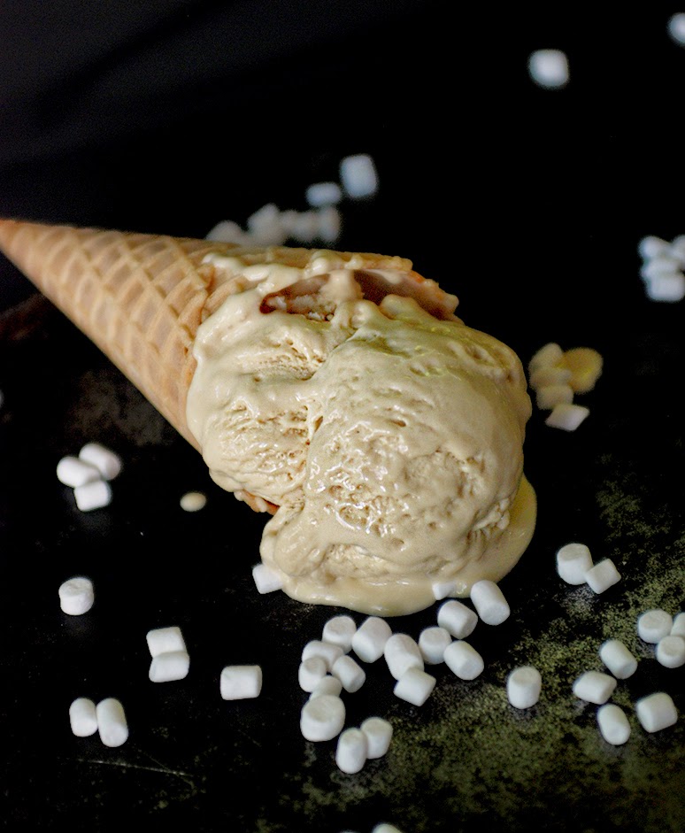 Toasted Marshmallow Ice Cream Do it yourself ideas and projects