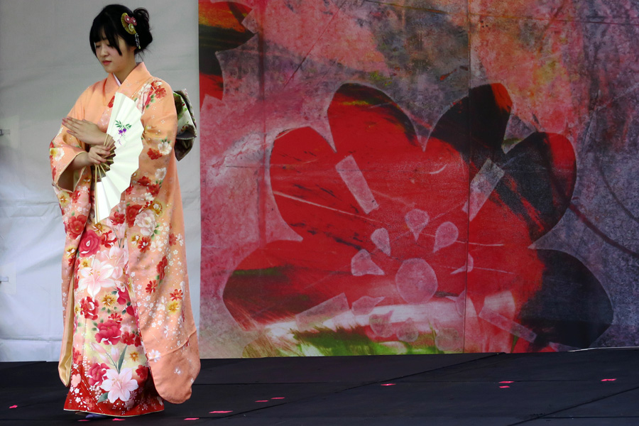 SakuraCherry Blossom Festival at Van Dusen Gardens Clothes Line