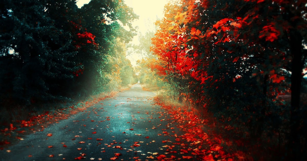 അന്നും മഴ പെയ്തിരുന്നു...: പെയ്തൊഴിയാന്‍ ഒരു മഴകൂടി...