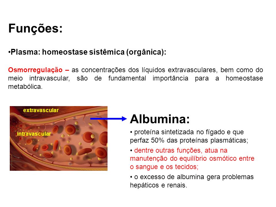 Provas de Função Hepática Análises Provas de Função Hepática Análises