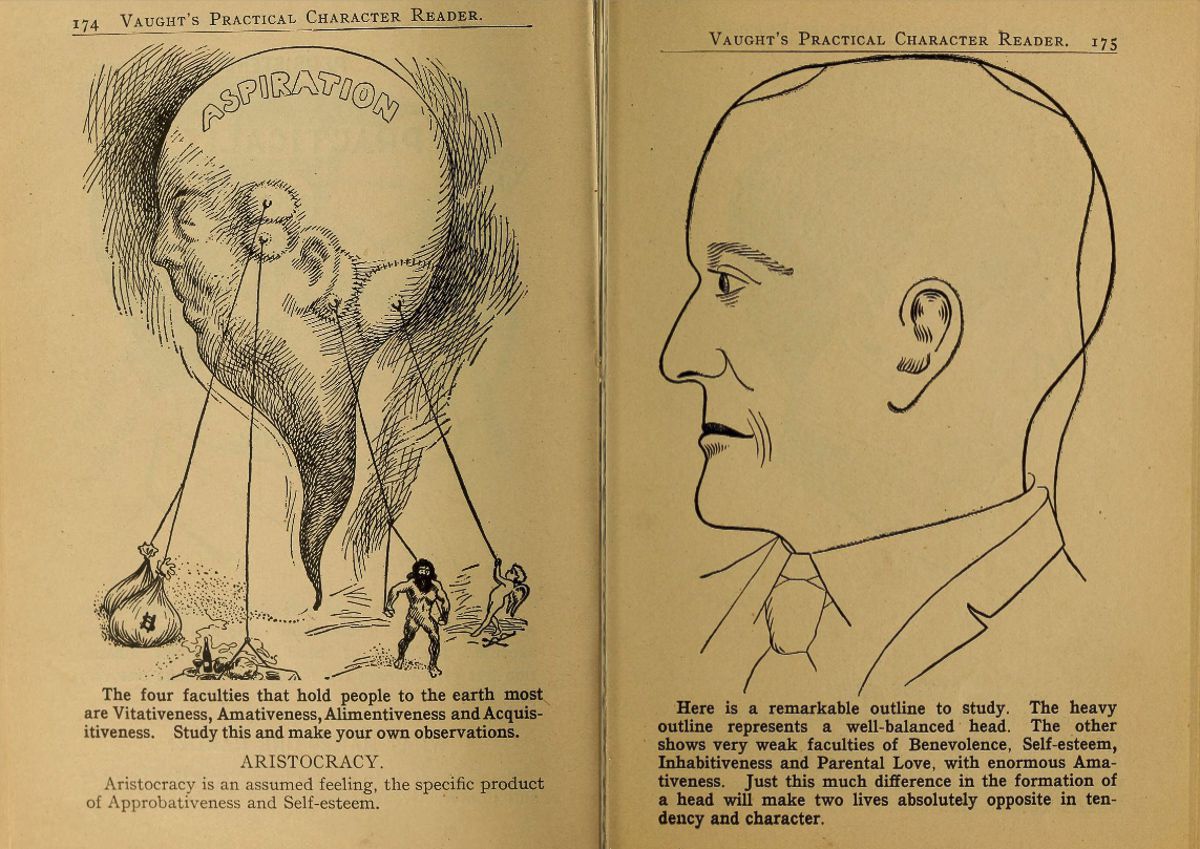 Pages from a weird phrenology book that claimed to ascertain a person s character by the shape of his head and other facial features  1902 - 9
