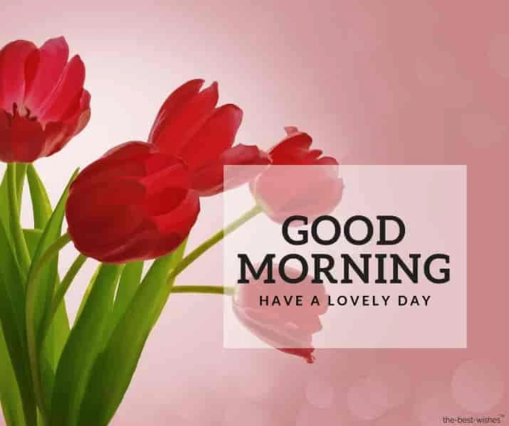good morning with flower