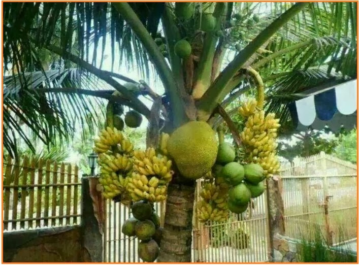 Kedua burung tersebut menunjukkan keanekaragaman tingkat jenis karena