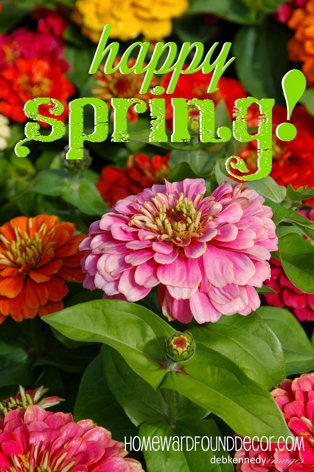 Happy Spring! homewardFOUND decor