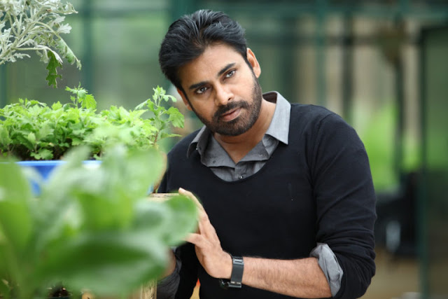 Pawan Kalyan Photos Gallery