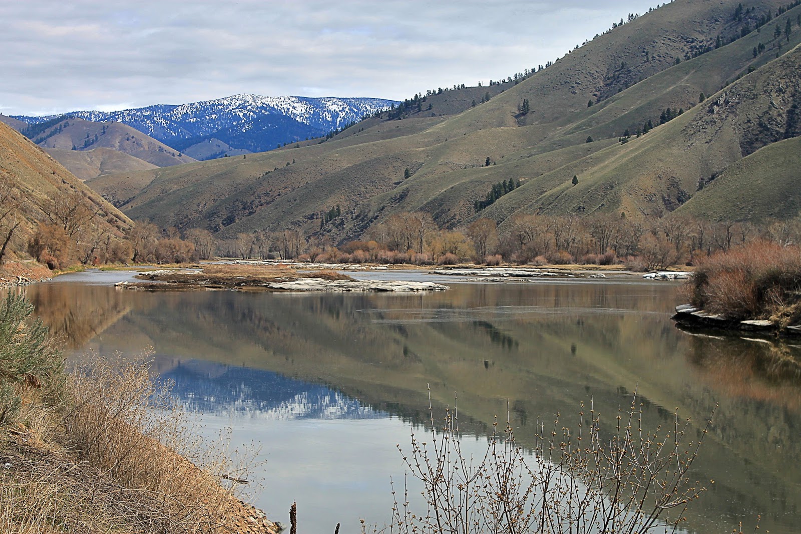 Reflections at deadwater on Salmon River, Idaho Salmon River Idaho geology travel field trip photography Spring snow mountains outdoors nature hiking camping copyright rocdoctravel.com