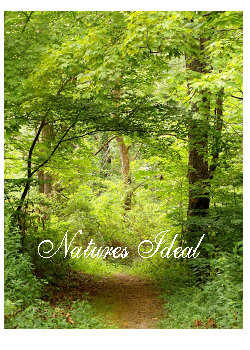Natures Ideals Notebook