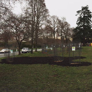 Fairfield Community Gardens