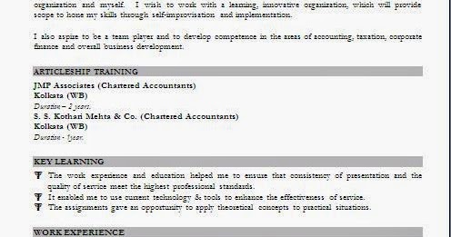 curriculum vitae word template