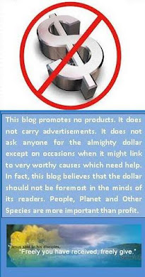 This blog's dollar policy