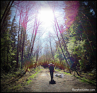 forest service road coast
