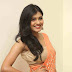 Hebah Patel In Orange Saree At Telugu Movie Audio Function