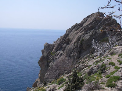 ΤΑ ΠΑΡΑΞΕΝΑ ΤΗΣ ΣΑΜΟΘΡΑΚΗΣ – ΟΙ ΑΓΡΙΑΝΘΡΩΠΟΙ (ΛΙΑΠΔΕΣ)