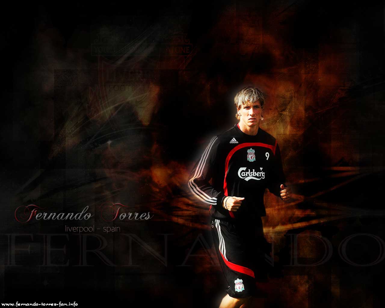 Fernando Torres Wallpaper ~ celebrity sport
