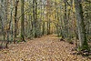 Le Morvan est un massif français de hautes collines