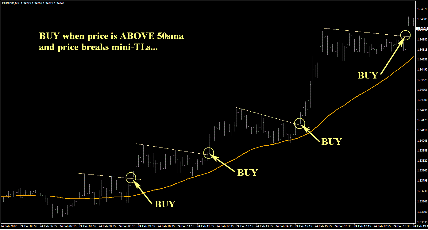 daily forex comentarii