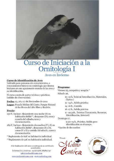 Curso de Iniciación a la Observación de Aves