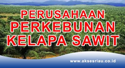 Perusahaan Perkebunan Kepala Sawit Riau