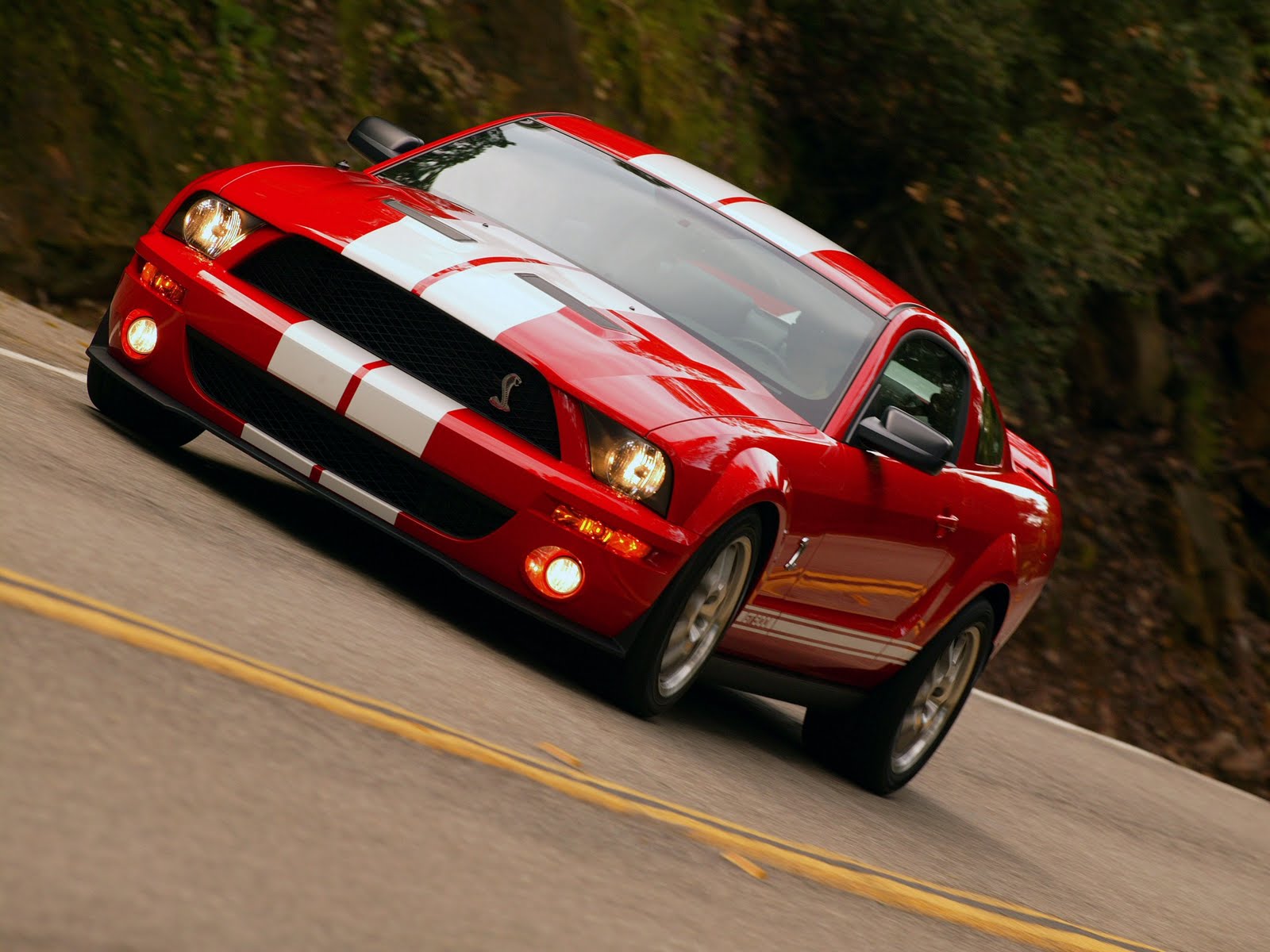 Ford Mustang Shelby gt500 Wallpapers Best Wall Papers With Latest