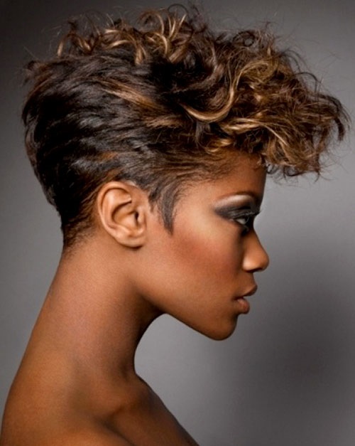 African American Hairstyles Trends and Ideas : Elegant ...