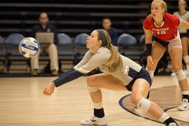 characteristics of the volleyball characteristics of the volleyball