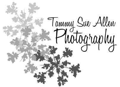 Tammy Sue Allen Photography