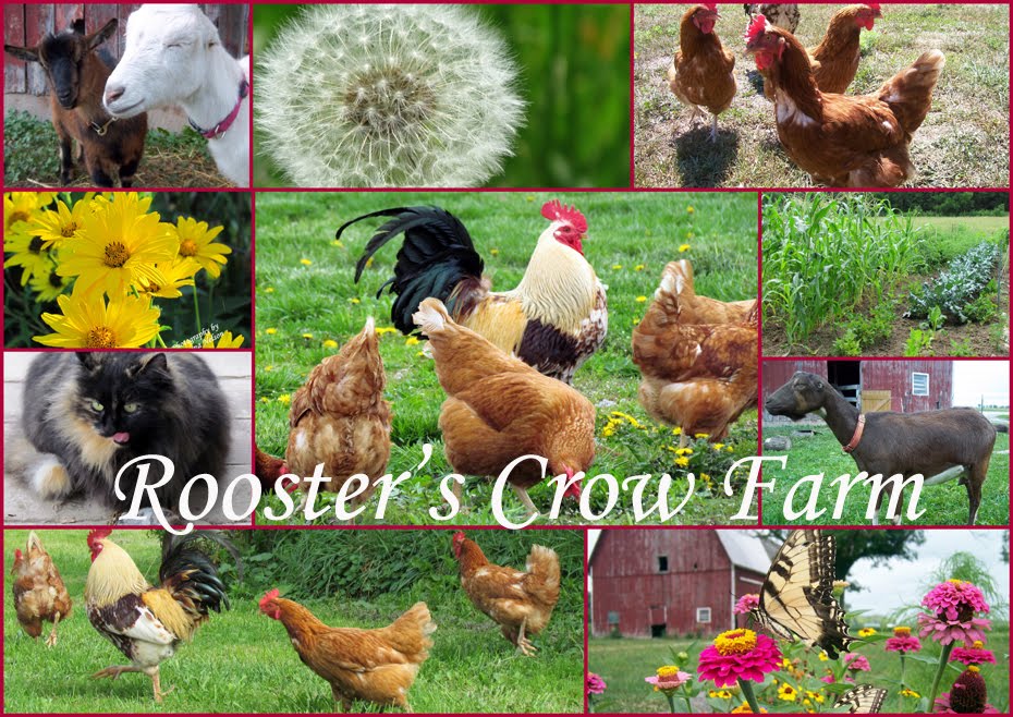 Rooster's Crow Farm