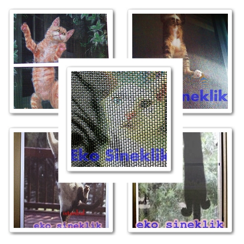 Kedi,Köpek , Haşarat Engelleme Sineklikleri