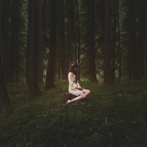 Fireflies in the Forest: 24 Poems and Meditations of the Soul