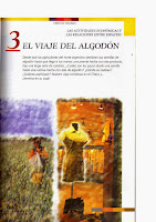 el viaje del algodon