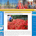 WebfolioCMS 1.1.4 CSRF