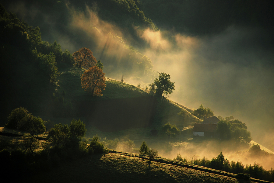 ALL DESKTOP'S WALLPAPERS: Misty black clouds in the field scenery wallpaper