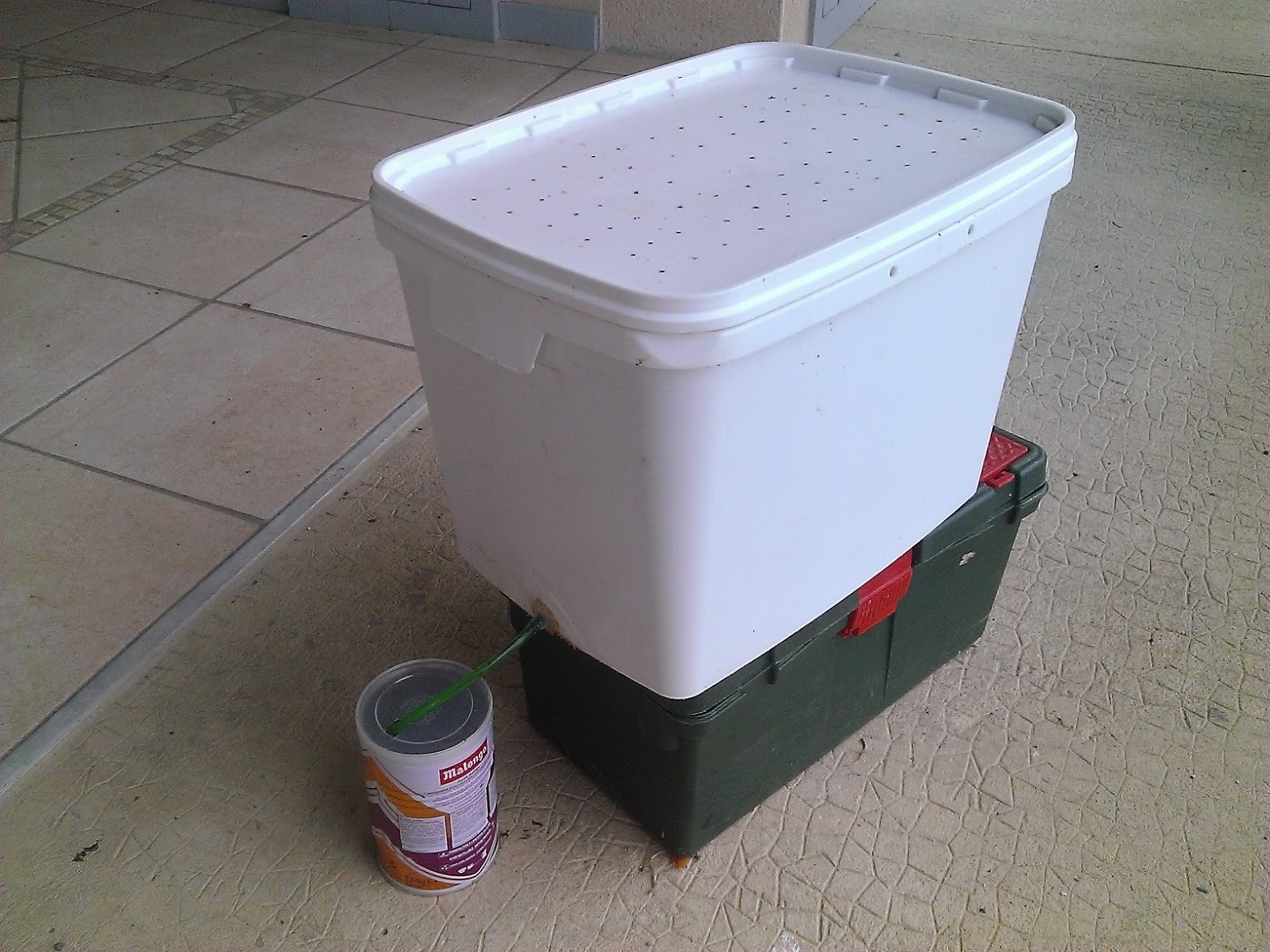 Truites du HautAdour Elevage de vers de terre astuce pêcheur