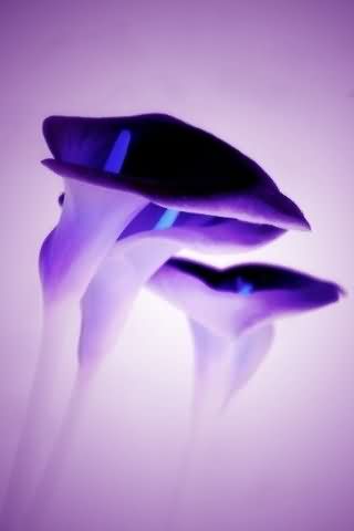 Free Download Mobile Wallpaper Hd Beautiful Galaxy 3d Lwp Live