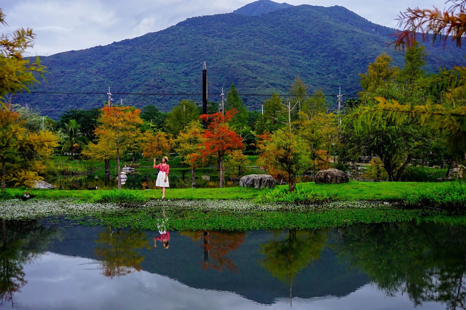 beautyanxiety.com-beautyanxiety.com-cultural-park-forest-DSC08885.jpg